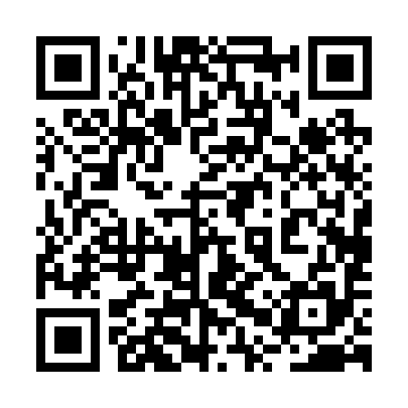 QR code for 2PP295