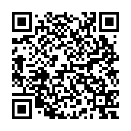 QR code for 2PS335
