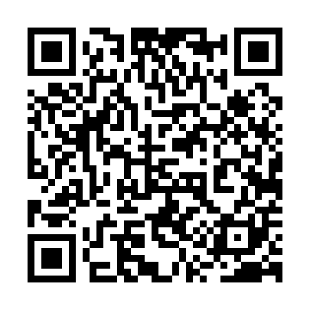 QR code for 2Q4101
