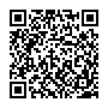 QR code for 2S9316