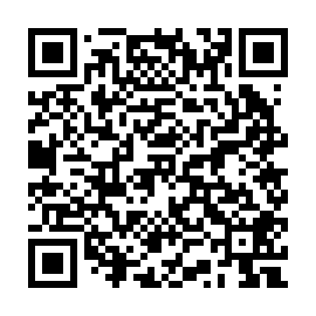 QR code for 2SG208