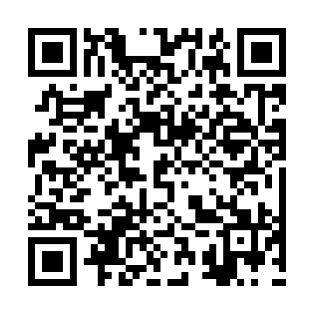 QR code for 2SR991
