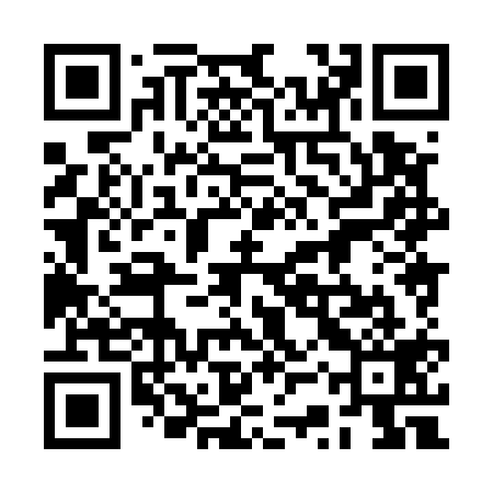 QR code for 2SX519