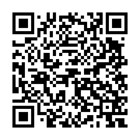 QR code for 2T2462