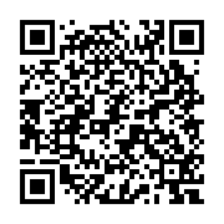 QR code for 2VP313
