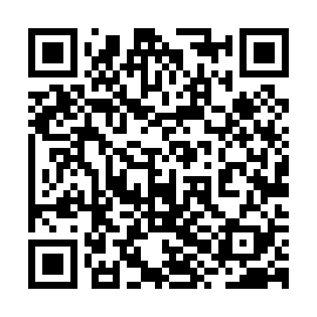 QR code for 2XL029