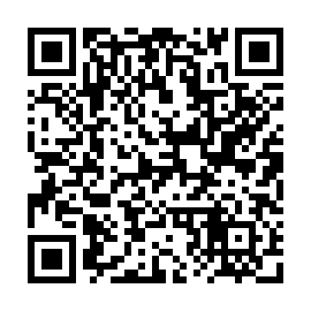 QR code for 2Z0382