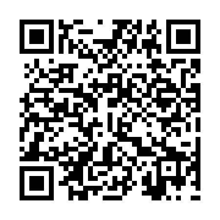 QR code for 2Z0729