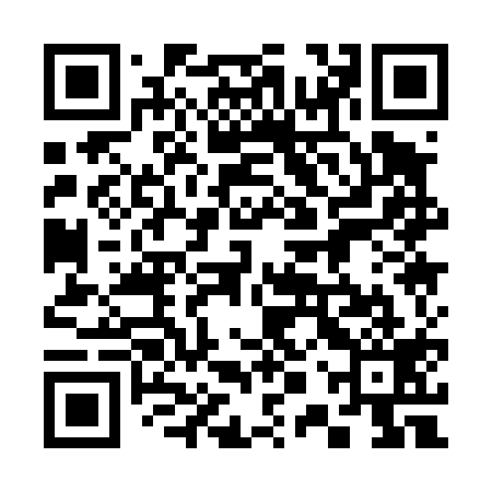 QR code for 30Q419