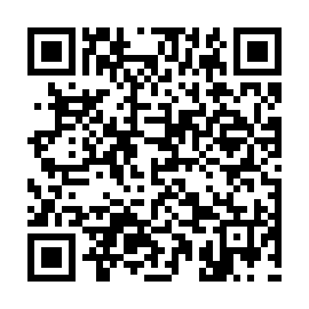QR code for 31FR95