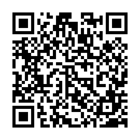 QR code for 31N006