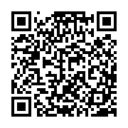 QR code for 31P541
