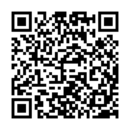 QR code for 31PP95