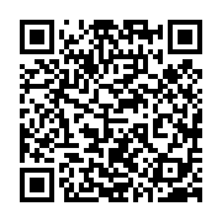 QR code for 31X419