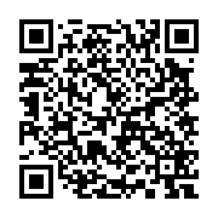 QR code for 31Z069