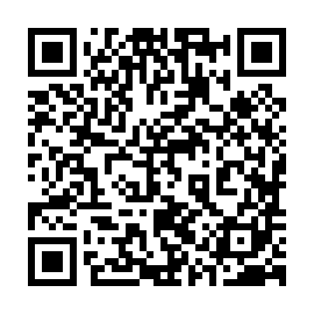 QR code for 31Z081