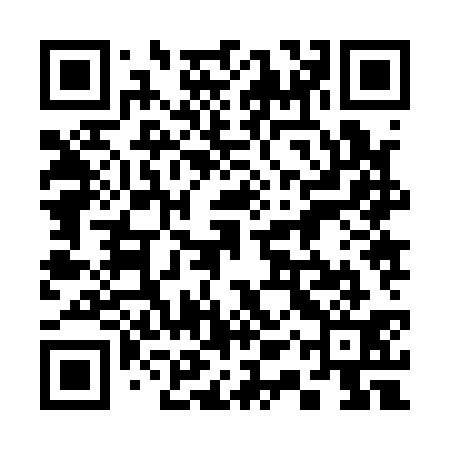 QR code for 31Z131
