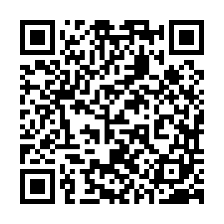 QR code for 31Z141