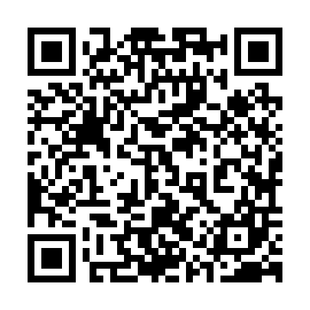 QR code for 31Z207