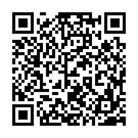 QR code for 31Z336