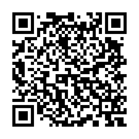 QR code for 33A455