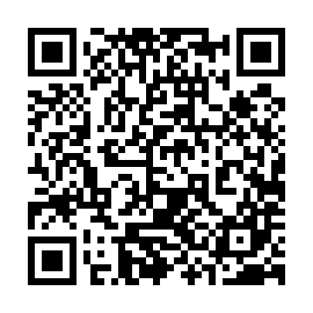 QR code for 33D587