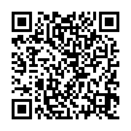 QR code for 33D833