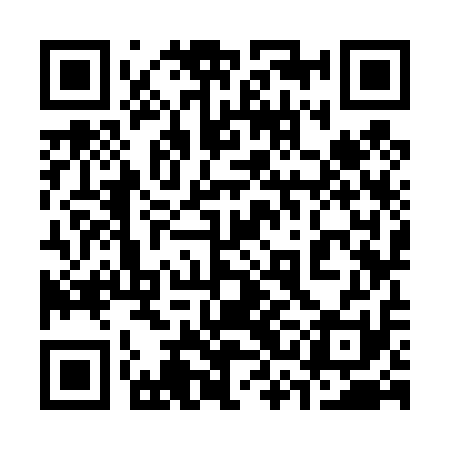 QR code for 33K411