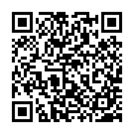 QR code for 33L287