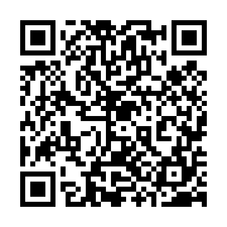 QR code for 33N454