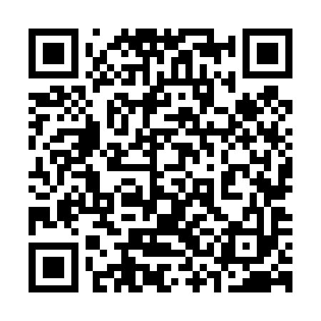 QR code for 33N493