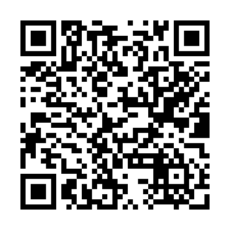 QR code for 33NS55