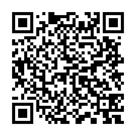 QR code for 33O538