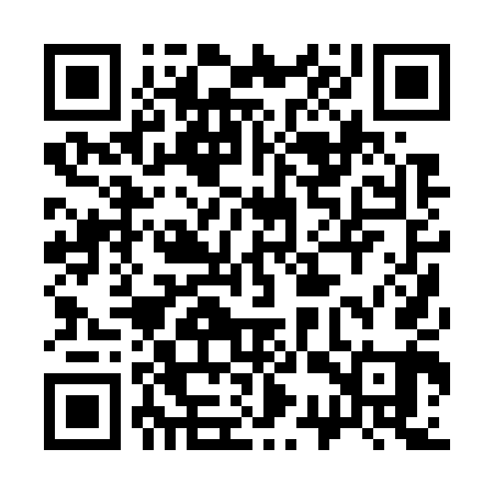 QR code for 33P741