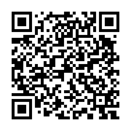 QR code for 33PD11