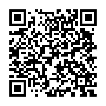 QR code for 33Q429
