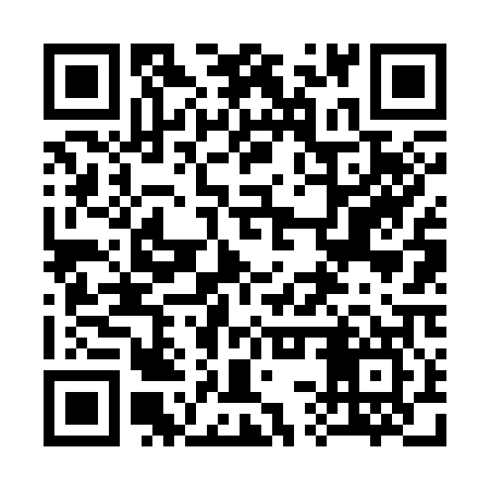 QR code for 33V307