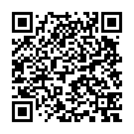 QR code for 33W438
