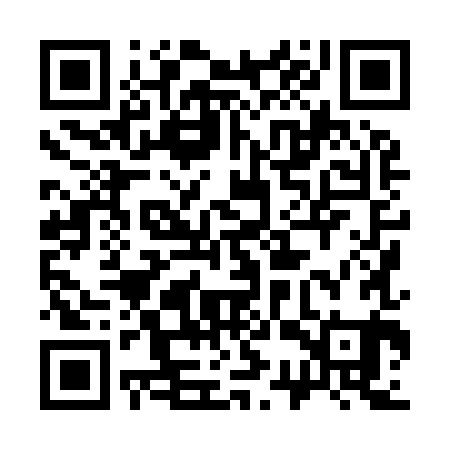 QR code for 33X981
