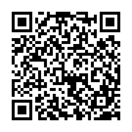 QR code for 36PG06