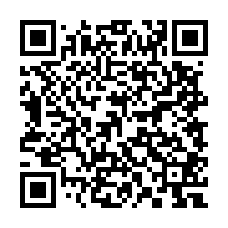 QR code for 38D500