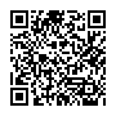 QR code for 38D511