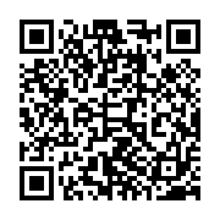 QR code for 38DP13