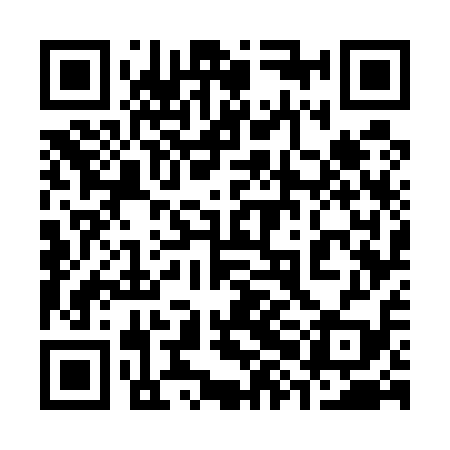 QR code for 38G519
