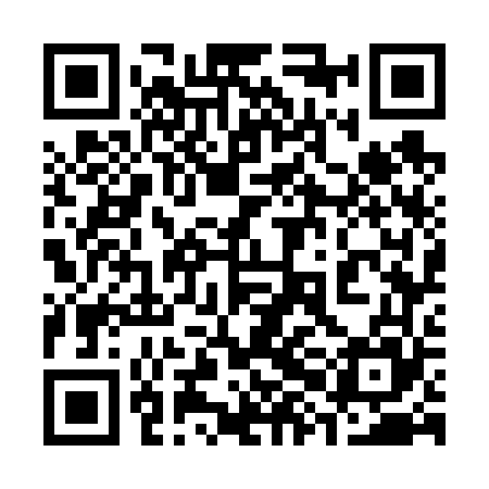 QR code for 38G665