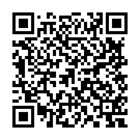 QR code for 38G811