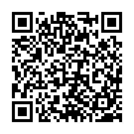 QR code for 38H304