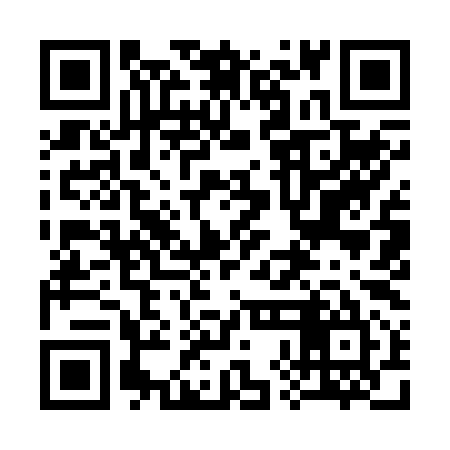 QR code for 38I295