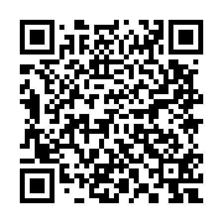 QR code for 38I511