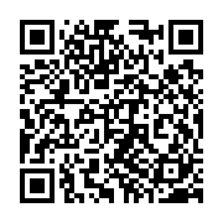 QR code for 38IG20